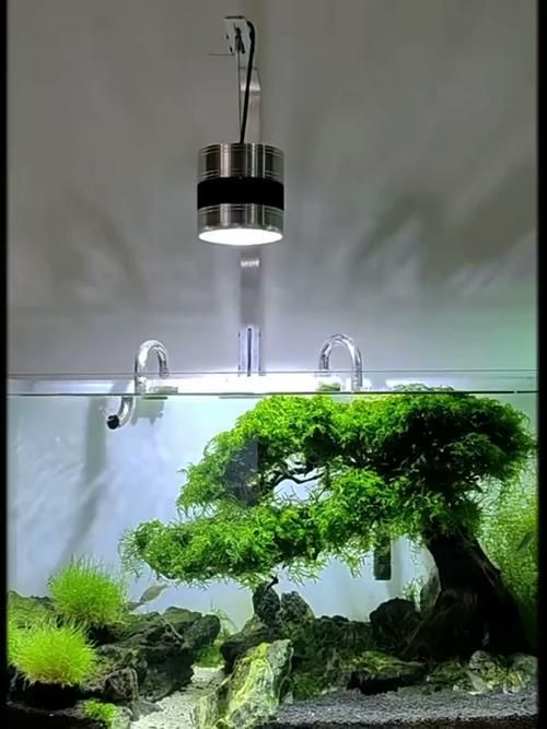 有哪些品牌的水族燈推薦？，有哪些品牌的水族燈值得入手？