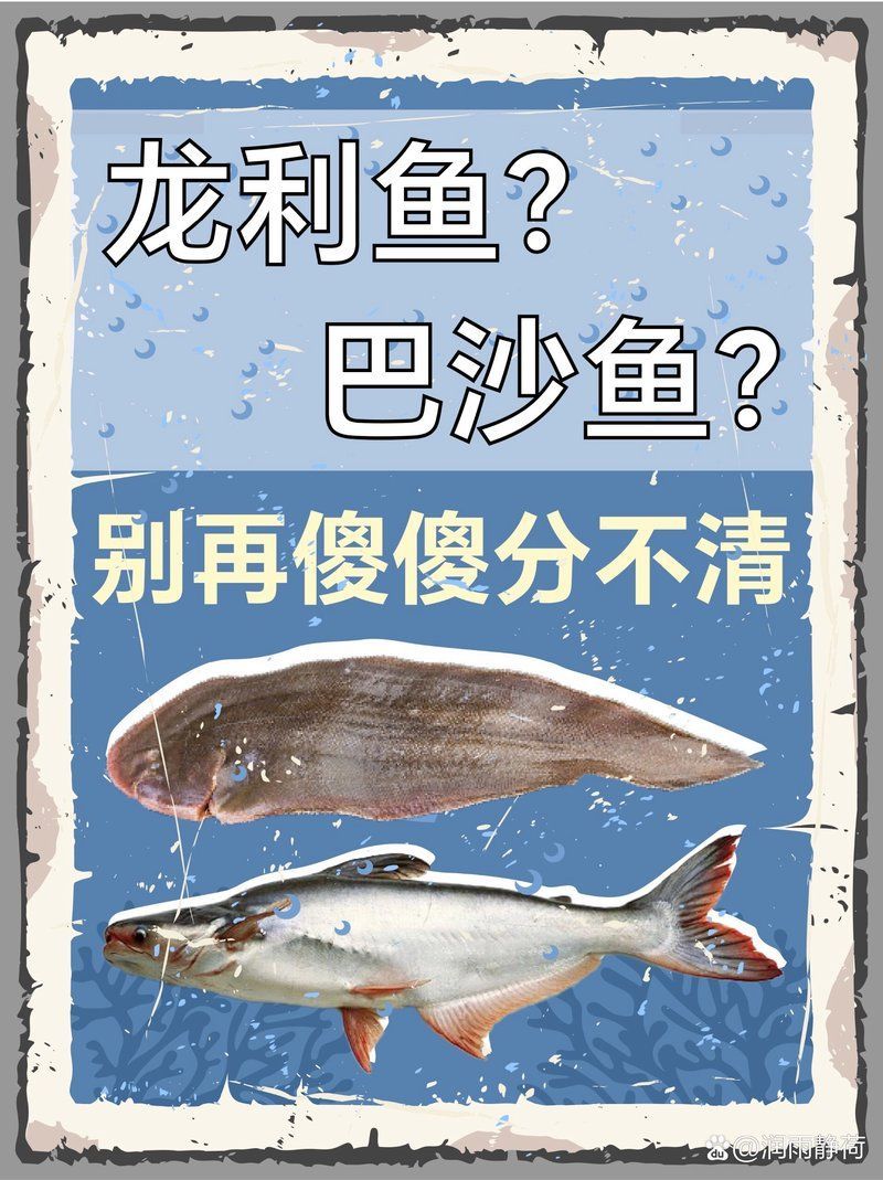如何辨別龍利魚和巴沙魚，龍利魚和巴沙魚的區別