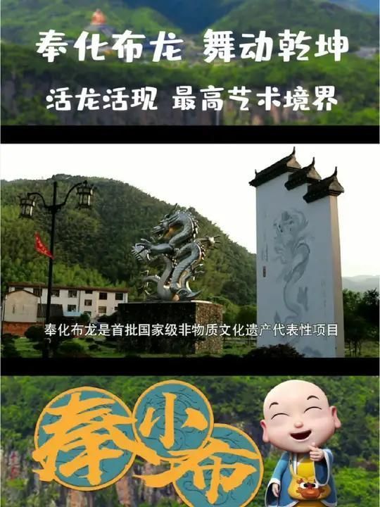 如何挑選高質量的龍擺件，如何挑選高質量龍擺件 如何挑選高質量的龍擺件，如何挑選高質量龍擺件 龍魚百科 第6張