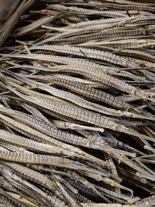 海龍魚如何健康食用，代營養學如何缺乏