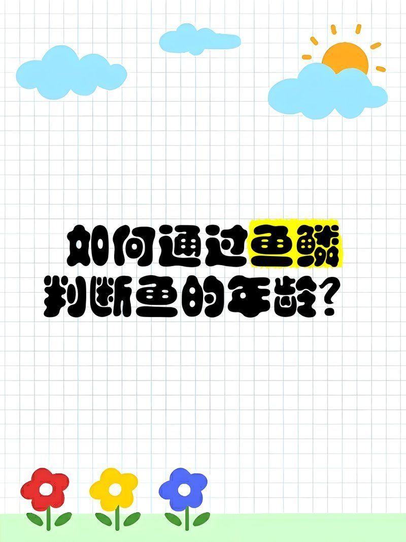 如何判斷一條魚的年齡，判斷一條魚的年齡是什么年齡，如何判斷一條魚的年齡 如何判斷一條魚的年齡，判斷一條魚的年齡是什么年齡，如何判斷一條魚的年齡 龍魚百科 第1張