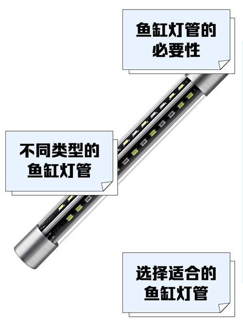 如何設置魚缸的定時燈光，如何設置魚缸定時燈光 如何設置魚缸的定時燈光，如何設置魚缸定時燈光 龍魚百科 第1張
