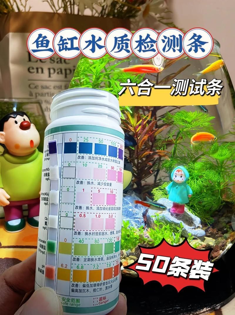如何預防魚缸中的魚眼睛變紅？