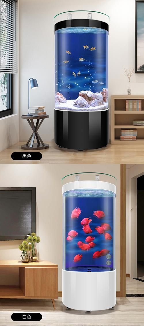 森森和漢霸哪個品牌更值得購買？，森森和漢霸哪個品牌更值得買？ 森森和漢霸哪個品牌更值得購買？，森森和漢霸哪個品牌更值得買？ 龍魚百科 第2張