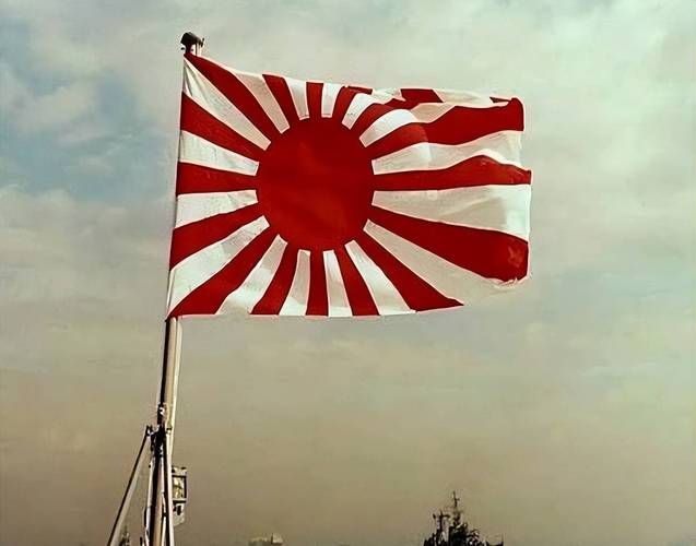 黑龍旗與其他旗幟的區(qū)別,“黑龍旗”與其他旗幟的區(qū)別 龍魚百科 第11張 黑龍旗與其他旗幟的區(qū)別,“黑龍旗”與其他旗幟的區(qū)別 黑龍旗與其他旗幟的區(qū)別,“黑龍旗”與其他旗幟的區(qū)別 龍魚百科 第11張