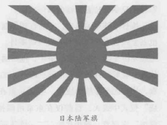黑龍旗與其他旗幟的區(qū)別,“黑龍旗”與其他旗幟的區(qū)別 龍魚百科 第10張 黑龍旗與其他旗幟的區(qū)別,“黑龍旗”與其他旗幟的區(qū)別 黑龍旗與其他旗幟的區(qū)別,“黑龍旗”與其他旗幟的區(qū)別 龍魚百科 第10張