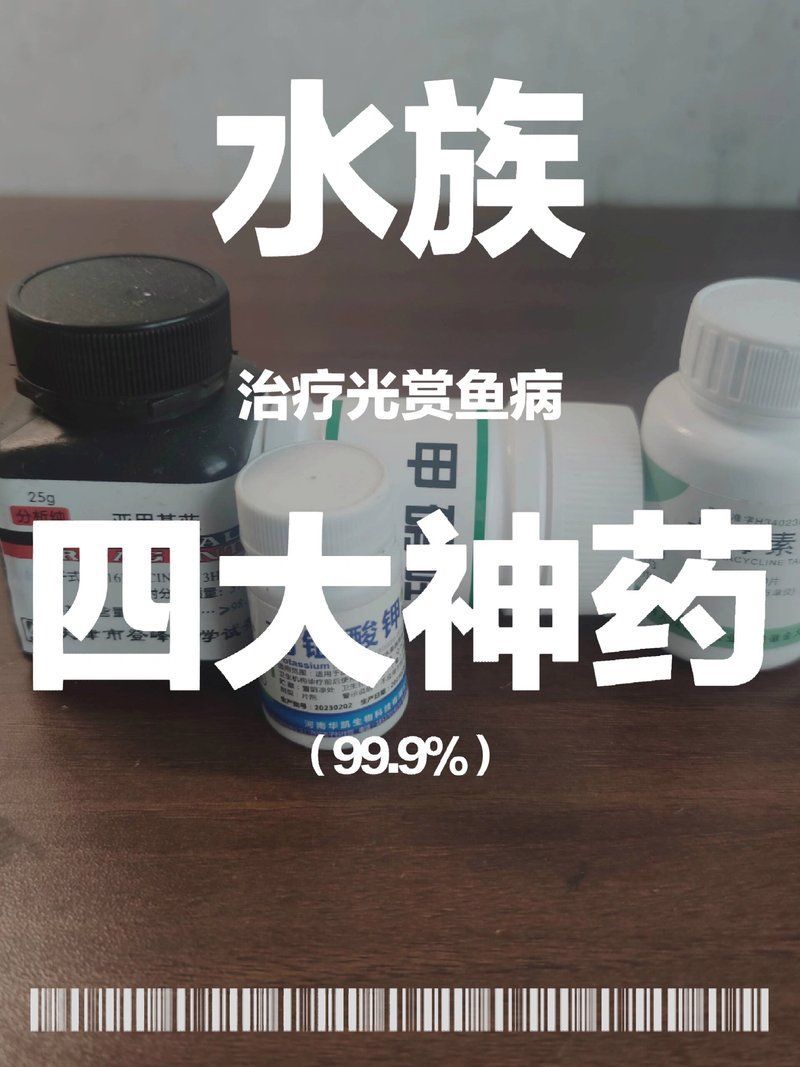 有哪些藥物可以有效治療龍魚細菌交叉感染？，關于龍魚細菌交叉感染