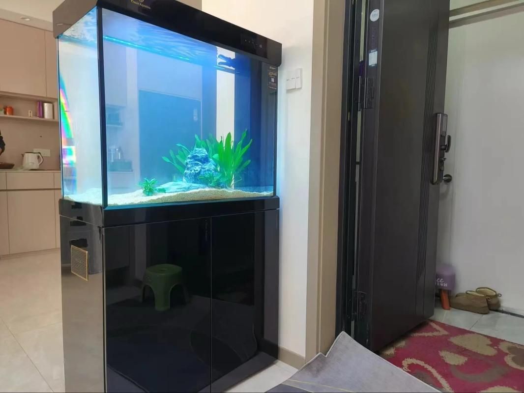 除了祥龍魚場，還有哪些品牌的龍魚魚缸？，除了祥龍魚場,還有哪些品牌的龍魚魚缸？