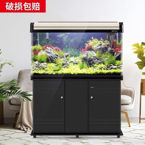 除了祥龍魚場，還有哪些品牌的龍魚魚缸？，除了祥龍魚場,還有哪些品牌的龍魚魚缸？