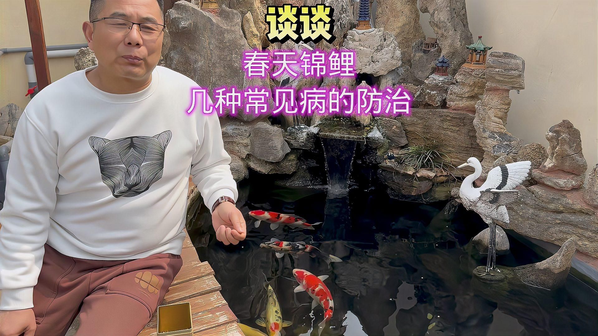 如何判斷魚是否生病 如何判斷魚是否生病 龍魚百科 第5張