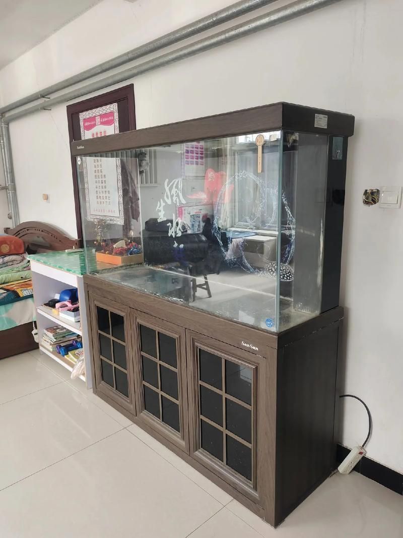 如何選擇適合的森森魚缸？ 如何選擇適合的森森魚缸？ 龍魚百科 第5張