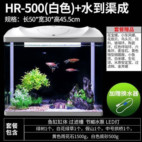 如何選擇適合的森森魚缸？ 如何選擇適合的森森魚缸？ 龍魚百科 第2張