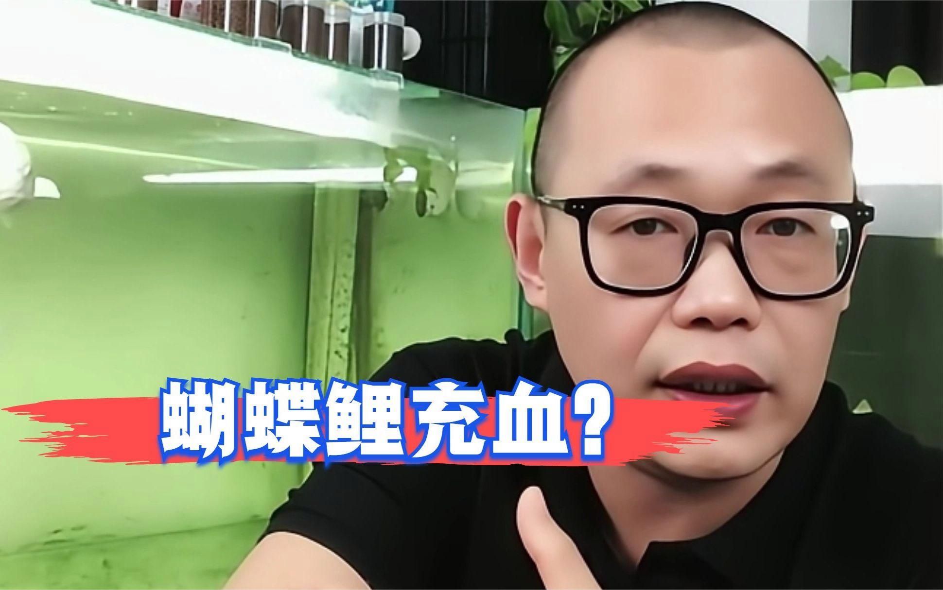 有哪些方法可以緩解觀賞魚充血，如何緩解觀賞魚充血