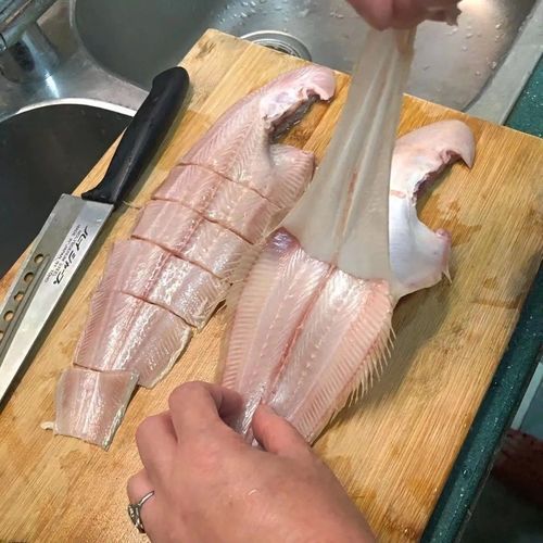 如何判斷魚呼吸急促的原因 龍魚百科 第4張 如何判斷魚呼吸急促的原因 如何判斷魚呼吸急促的原因 龍魚百科 第4張