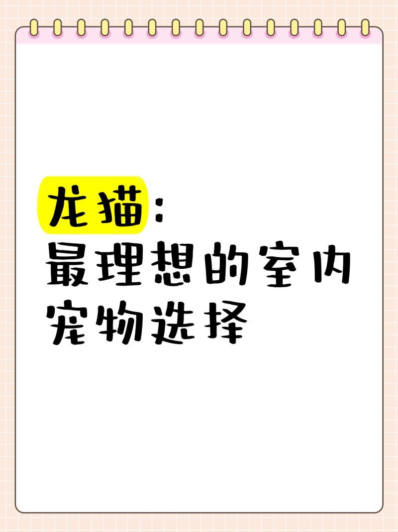 龍貓共養需要多少空間，龍貓共養需要多少空間， 龍貓共養需要多少空間，龍貓共養需要多少空間， 龍魚百科 第1張