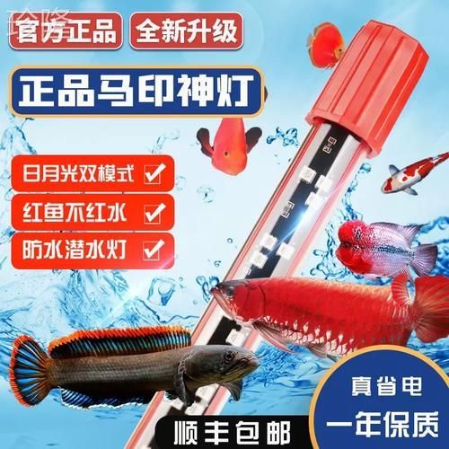 給我推薦一些龍魚燈的品牌，馬印馬印神燈龍魚燈品牌龍魚燈品牌馬印神燈plus