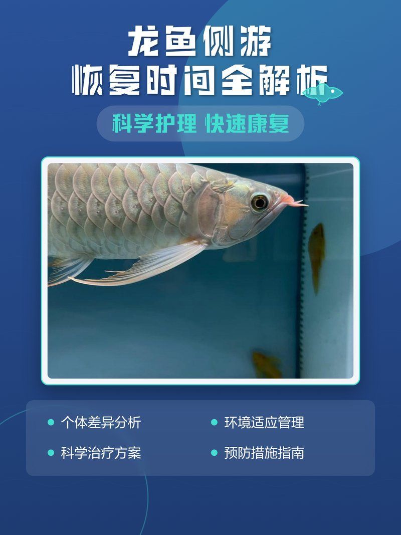龍魚殺菌后如何觀察是否健康？，龍魚殺菌后健康觀察