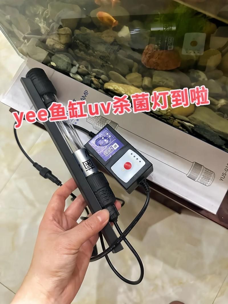 如何預防龍魚鰓蓋邊緣發綠？，如何預防龍魚鰓蓋邊緣發綠