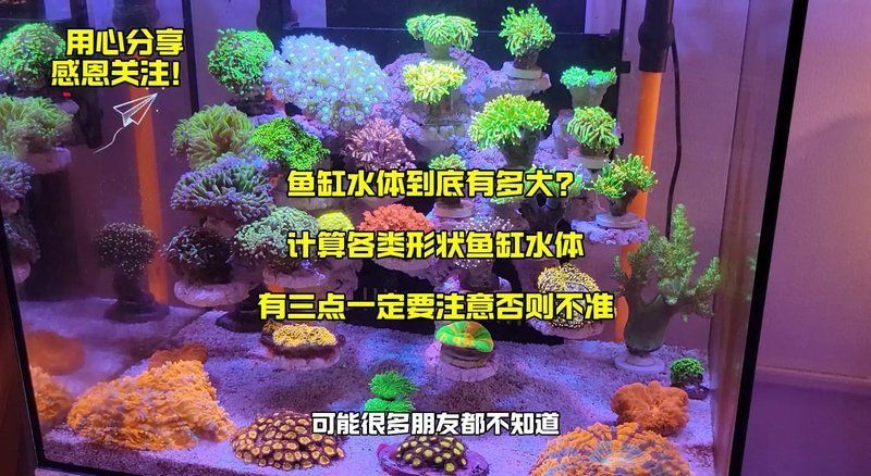 如何計算龍魚缸的體積，如何計算魚缸水體體積