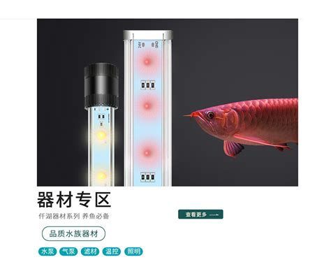 詳解（1000字和配圖）馬印神燈和仟湖龍魚燈哪個更好？，馬印神燈與仟湖龍魚燈哪個更好馬印神燈和仟湖龍魚燈哪個好