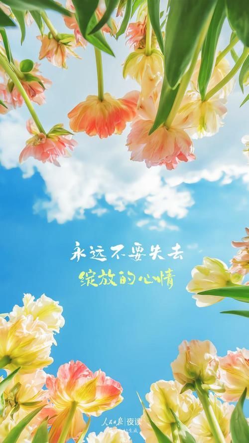 推薦一些適合手機(jī)的這款壁紙，四類高質(zhì)感手機(jī)壁紙推薦，適合現(xiàn)代人日常使用的壁紙