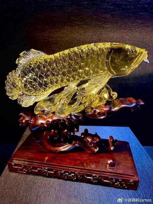 龍魚飾品有哪些款式選擇，龍魚飾品有哪些款式豐富多樣，龍魚飾品有哪些款式選擇 龍魚飾品有哪些款式選擇，龍魚飾品有哪些款式豐富多樣，龍魚飾品有哪些款式選擇 龍魚百科 第11張