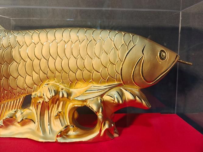 龍魚飾品有哪些款式選擇，龍魚飾品有哪些款式豐富多樣，龍魚飾品有哪些款式選擇 龍魚飾品有哪些款式選擇，龍魚飾品有哪些款式豐富多樣，龍魚飾品有哪些款式選擇 龍魚百科 第6張