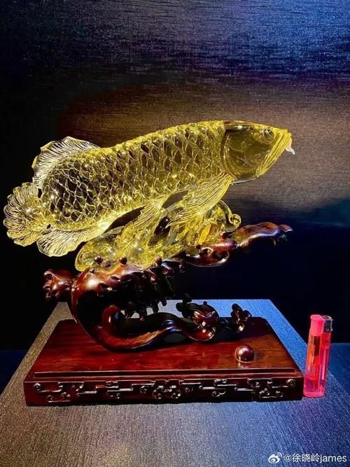 龍魚飾品有哪些款式選擇，龍魚飾品有哪些款式豐富多樣，龍魚飾品有哪些款式選擇 龍魚飾品有哪些款式選擇，龍魚飾品有哪些款式豐富多樣，龍魚飾品有哪些款式選擇 龍魚百科 第10張