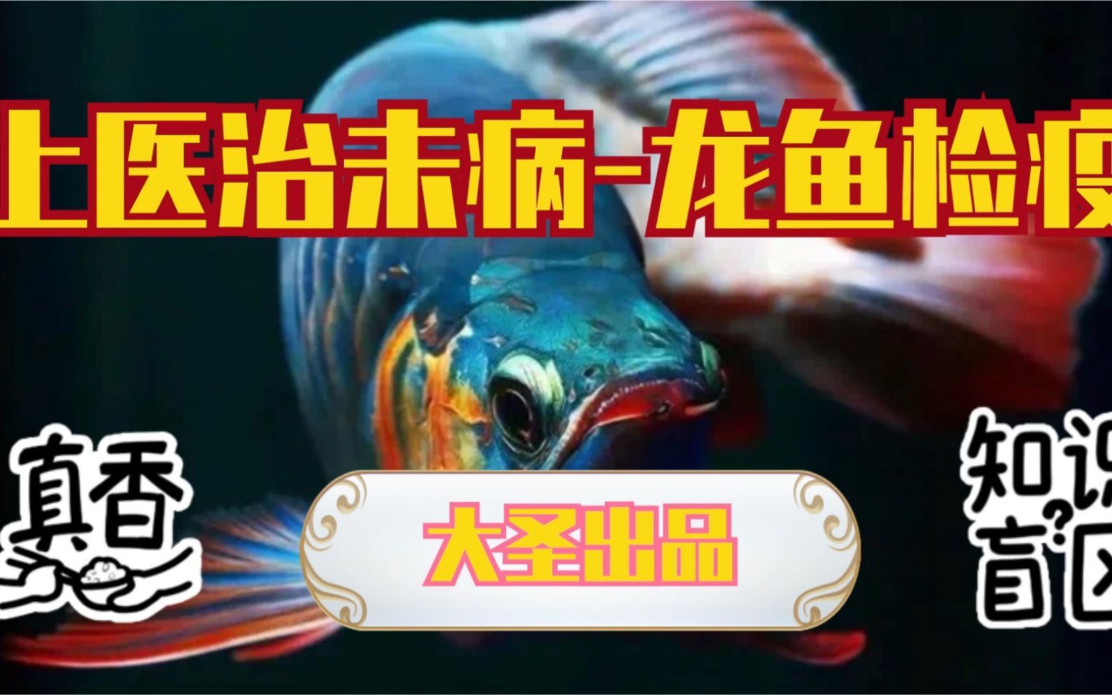 康復后的龍魚還會攜帶病毒嗎，康復后的龍魚還會攜帶病毒嗎, 康復后的龍魚還會攜帶病毒嗎，康復后的龍魚還會攜帶病毒嗎, 龍魚百科 第1張