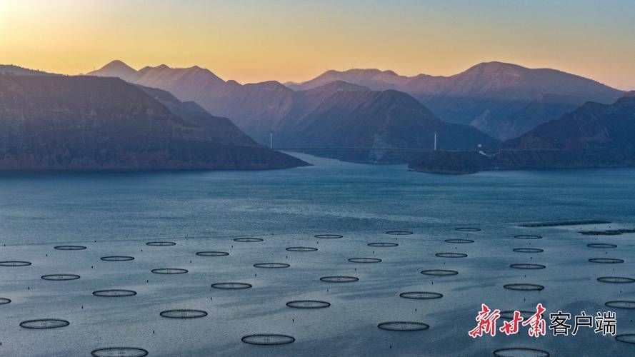 廣河龍魚養殖有哪些成功案例，廣河龍魚養殖業成功案例（如永靖縣、臨夏回族自治州廣河縣） 廣河龍魚養殖有哪些成功案例，廣河龍魚養殖業成功案例（如永靖縣、臨夏回族自治州廣河縣） 龍魚百科 第5張