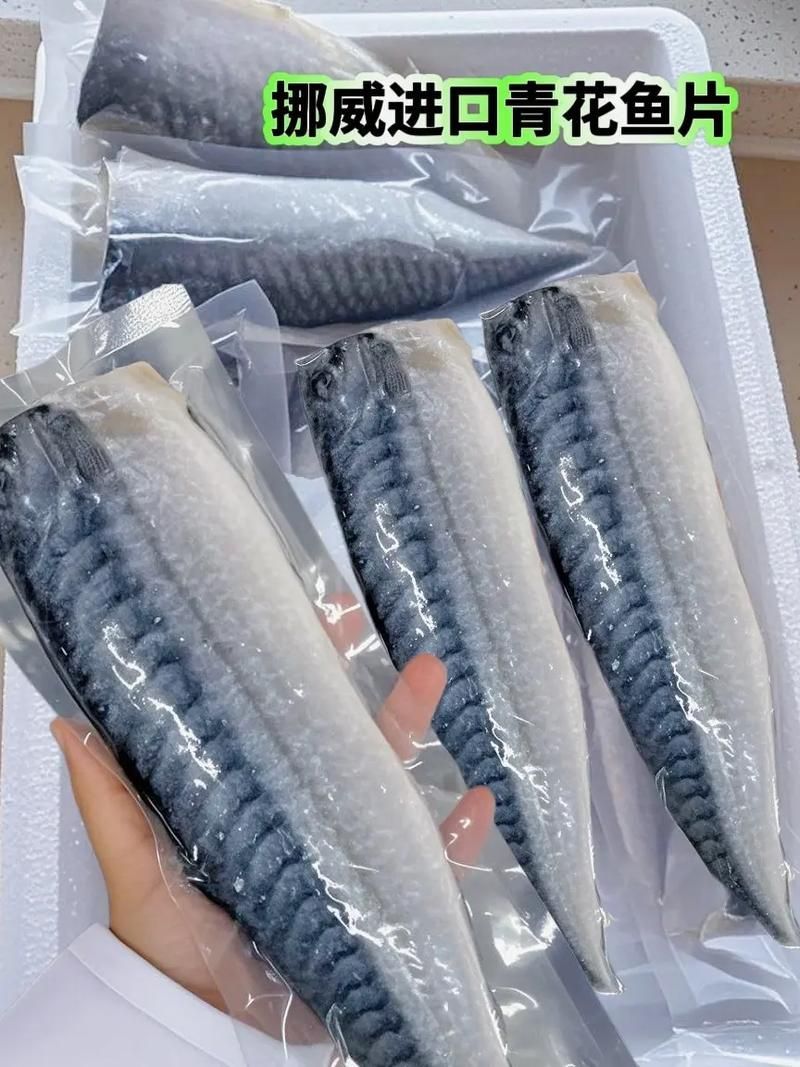 如何鑒別青花龍魚的品相，如何鑒別青花龍魚