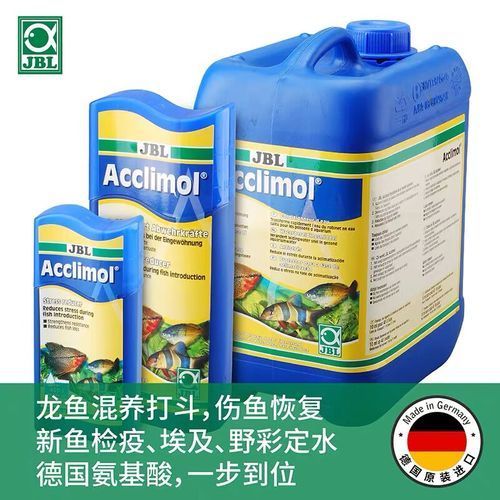 有哪些品牌的龍魚專用藥值得推薦？，哪些品牌的龍魚專用藥值得推薦？ 有哪些品牌的龍魚專用藥值得推薦？，哪些品牌的龍魚專用藥值得推薦？ 龍魚百科 第17張