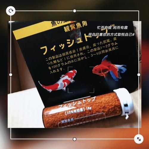 有哪些品牌的龍魚專用藥值得推薦？，哪些品牌的龍魚專用藥值得推薦？ 有哪些品牌的龍魚專用藥值得推薦？，哪些品牌的龍魚專用藥值得推薦？ 龍魚百科 第7張