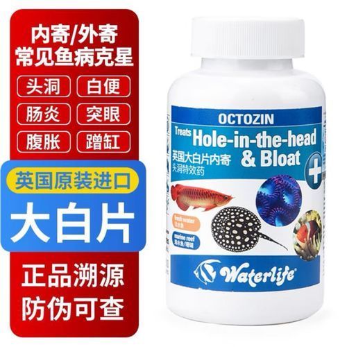 有哪些品牌的龍魚專用藥值得推薦？，哪些品牌的龍魚專用藥值得推薦？ 有哪些品牌的龍魚專用藥值得推薦？，哪些品牌的龍魚專用藥值得推薦？ 龍魚百科 第3張