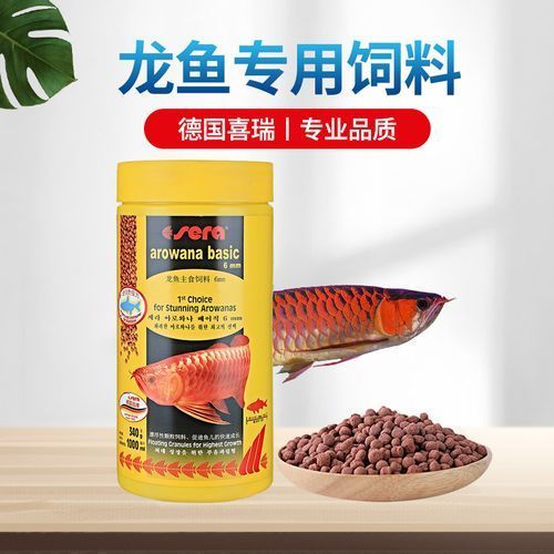 有哪些品牌的龍魚專用藥值得推薦？，哪些品牌的龍魚專用藥值得推薦？ 有哪些品牌的龍魚專用藥值得推薦？，哪些品牌的龍魚專用藥值得推薦？ 龍魚百科 第4張