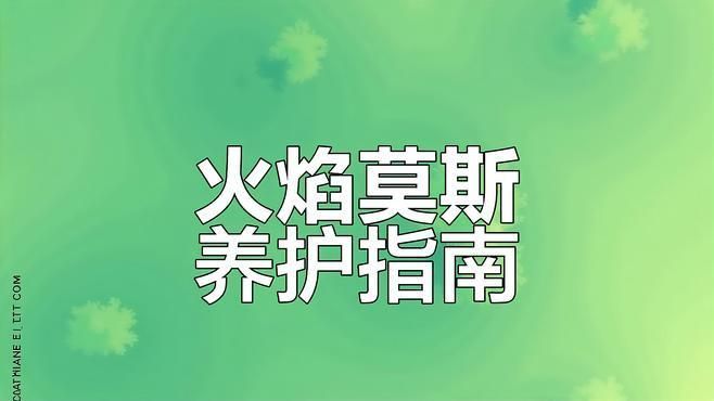 曼龍魚需要哪些水草，曼龍魚的水草搭配指南， 曼龍魚需要哪些水草，曼龍魚的水草搭配指南， 龍魚百科 第3張