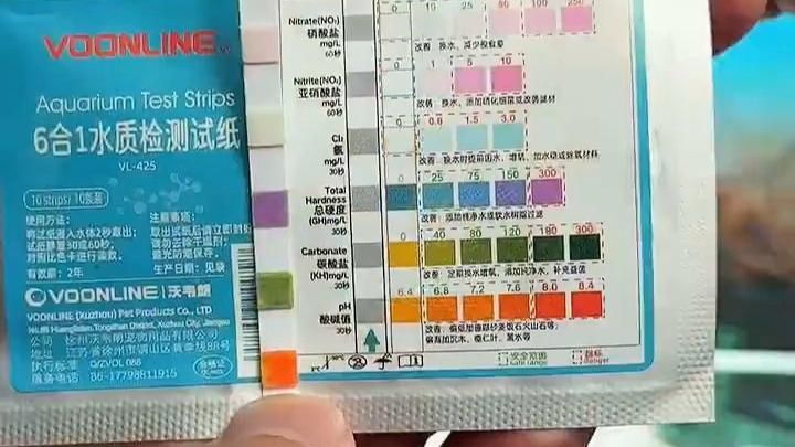 養(yǎng)龍魚需要哪些水質測試工具？，養(yǎng)龍魚時水質測試是確保水族箱環(huán)境健康的關鍵步驟