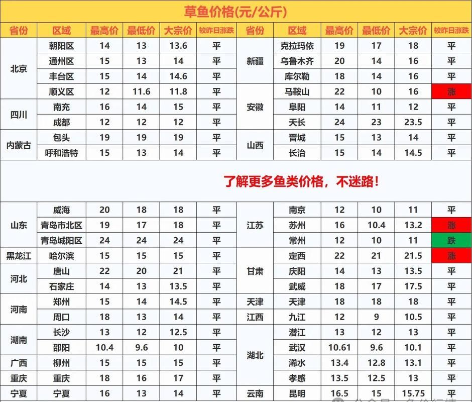 六盤水龍魚的市場價格