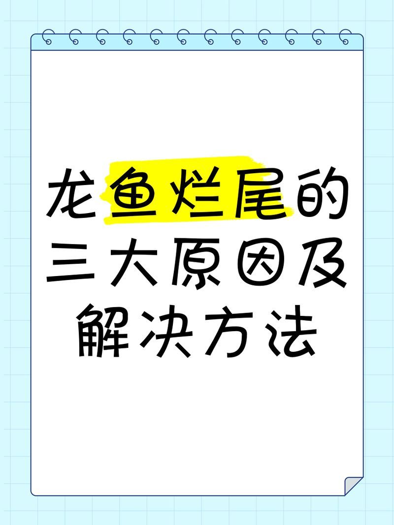 如何預防龍魚爛尾巴再次發生 如何預防龍魚爛尾巴再次發生 龍魚百科 第2張