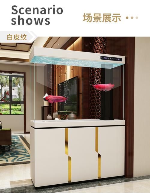 龍魚專用缸排名榜有哪些品牌推薦？，龍魚專用缸排名榜 龍魚專用缸排名榜有哪些品牌推薦？，龍魚專用缸排名榜 龍魚百科 第14張