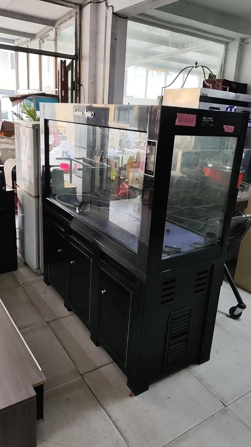 龍魚專用缸排名榜有哪些品牌推薦？，龍魚專用缸排名榜 龍魚專用缸排名榜有哪些品牌推薦？，龍魚專用缸排名榜 龍魚百科 第3張