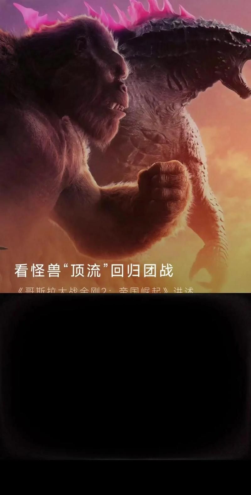 如何挑選鎮宅龜，如何挑選一只真正適合鎮宅的龜 如何挑選鎮宅龜，如何挑選一只真正適合鎮宅的龜 龍魚百科 第2張