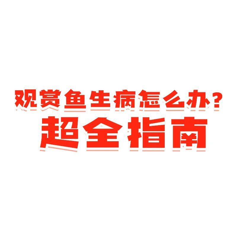 七彩龍魚有哪些常見疾病，七彩神仙魚與七彩龍魚的常見疾病的常見疾病癥狀 七彩龍魚有哪些常見疾病，七彩神仙魚與七彩龍魚的常見疾病的常見疾病癥狀 龍魚百科 第2張
