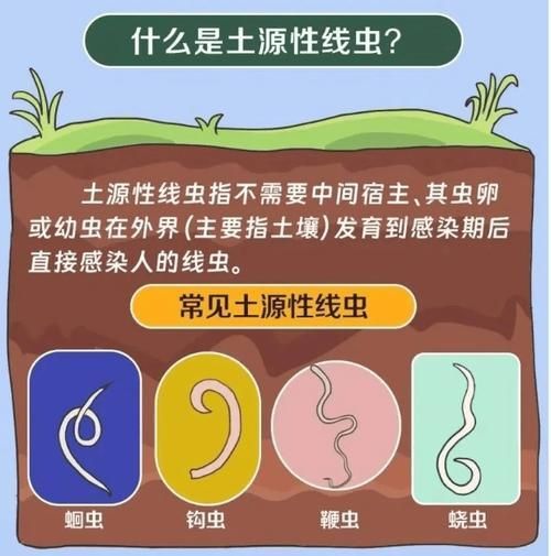 有哪些生物可以控制白色線蟲，富媒體組件庫中雖有多個“白色線蟲”主動召回專業圖像資源