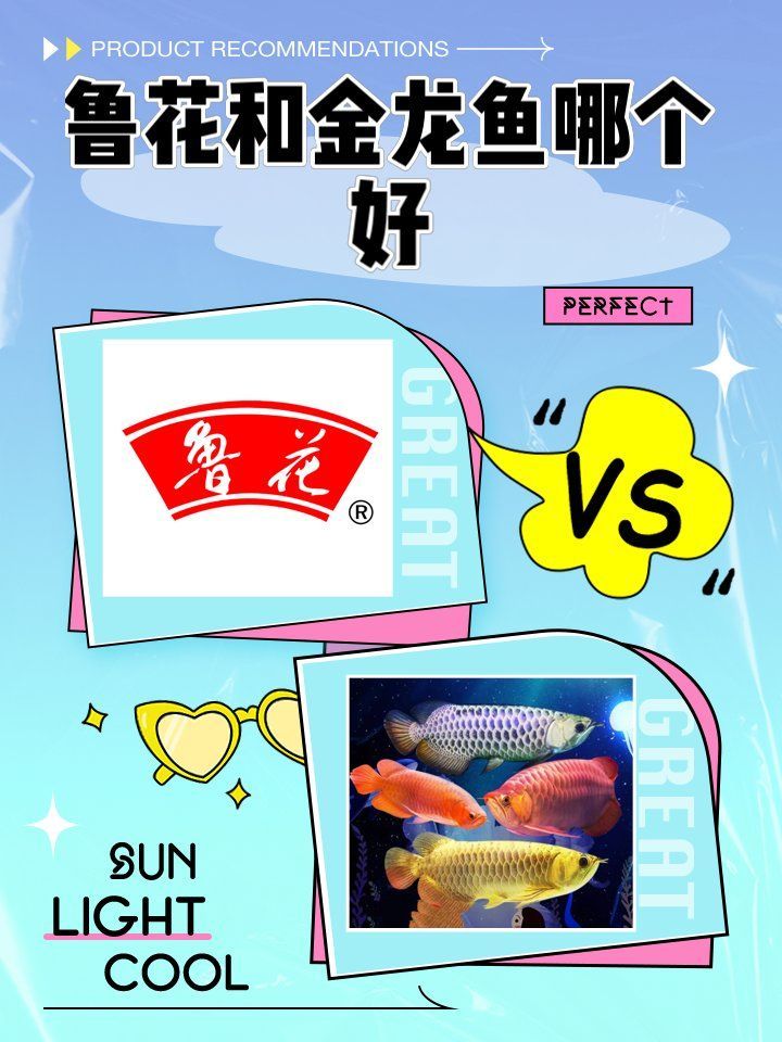 魯花油和金龍魚哪個更健康，魯花油和金龍魚哪個更健康家庭健康用油搭配方案 魯花油和金龍魚哪個更健康，魯花油和金龍魚哪個更健康家庭健康用油搭配方案 龍魚百科 第1張