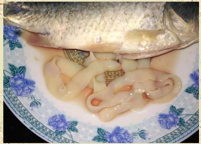 給我一些魚肚子里寄生蟲的圖片，如何判斷魚是否有寄生蟲 給我一些魚肚子里寄生蟲的圖片，如何判斷魚是否有寄生蟲 龍魚百科 第1張