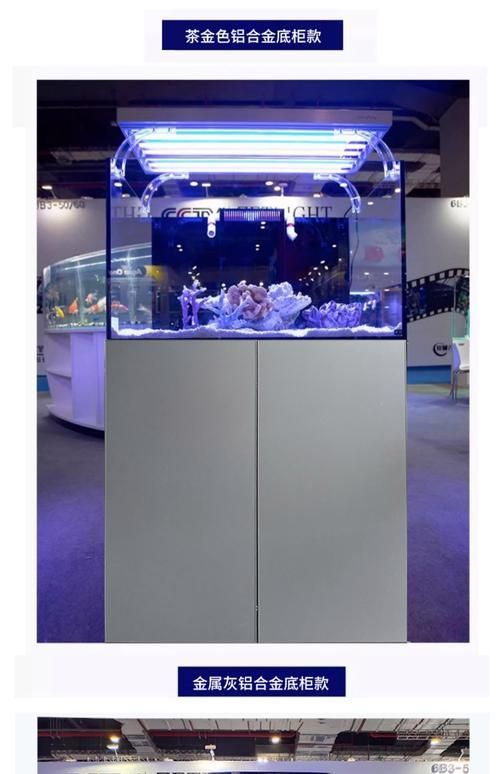 Red Sea、CADE、Waterbox哪個品牌最受歡迎？，redsea,cade,waterbox,哪個品牌最受歡迎 Red Sea、CADE、Waterbox哪個品牌最受歡迎？，redsea,cade,waterbox,哪個品牌最受歡迎 龍魚百科 第1張