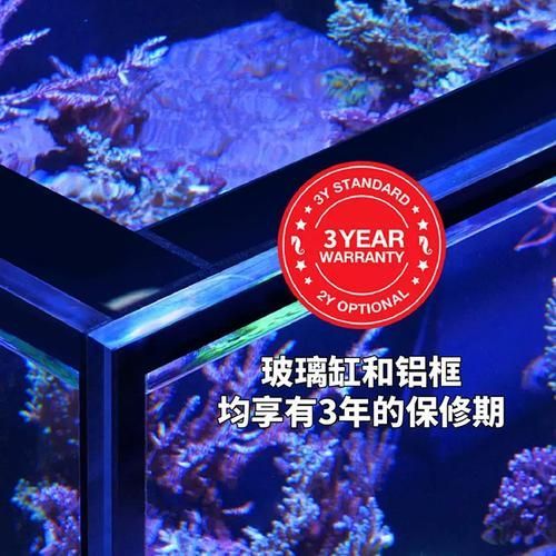 Red Sea、CADE、Waterbox哪個品牌最受歡迎？，redsea,cade,waterbox,哪個品牌最受歡迎 Red Sea、CADE、Waterbox哪個品牌最受歡迎？，redsea,cade,waterbox,哪個品牌最受歡迎 龍魚百科 第4張