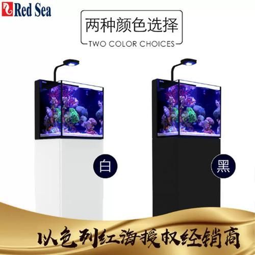 Red Sea、CADE、Waterbox哪個品牌最受歡迎？，redsea,cade,waterbox,哪個品牌最受歡迎 Red Sea、CADE、Waterbox哪個品牌最受歡迎？，redsea,cade,waterbox,哪個品牌最受歡迎 龍魚百科 第3張