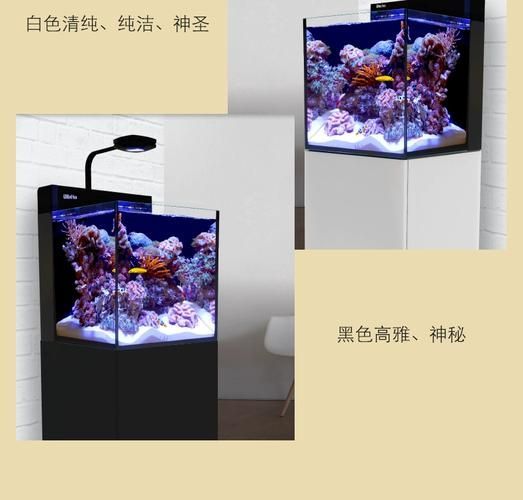 Red Sea、CADE、Waterbox哪個品牌最受歡迎？，redsea,cade,waterbox,哪個品牌最受歡迎 Red Sea、CADE、Waterbox哪個品牌最受歡迎？，redsea,cade,waterbox,哪個品牌最受歡迎 龍魚百科 第2張